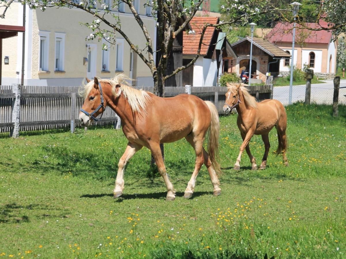 Gschwendnerhof Reitberger-Brandl Villa Röhrnbach Buitenkant foto